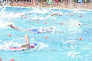 Nerul Gymkhana District Level Swimming Competition.5 2015