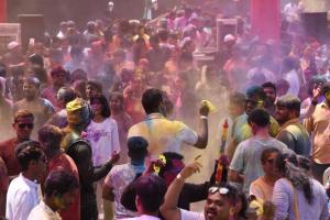 Nerul Gymkhana Venue Panter for Holi 2019. 5